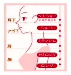 ベリーショート、ショート、ミディアム、セミロング、ロング